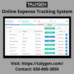 Online Expense Tracking System