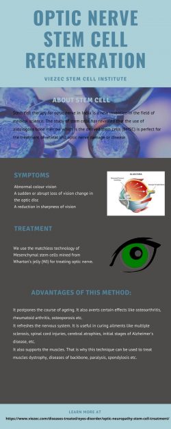 Optic Nerve Stem Cell Regeneration