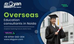 Top 6 Cities to Study in New Zealand – AbGyan Overseas