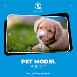 Pet Model Agency