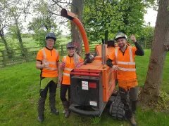 Tree Stump Removal Service