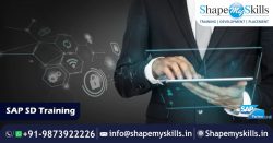 SAP SD Online Training