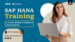 SAP HANA Training in Delhi