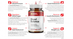 https://getinkspired.com/en/blog/252989/guardian-blood-balance/