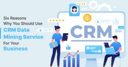 Six Reasons Why You Should Use CRM Data Mining Service For Your Business