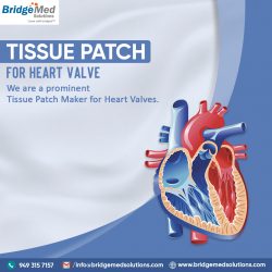 Tissue Patch for Heart Valve