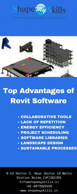 Best Revit Structure in Delhi