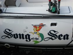 Top Quality Custom boat graphics