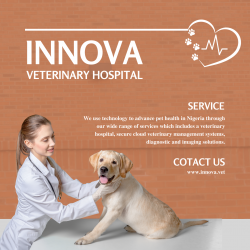 Pet Wellness Care Nigeria