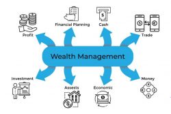 Wealth Management Near Me