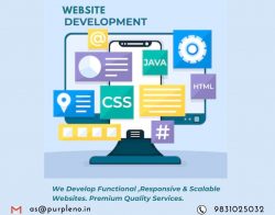 website development