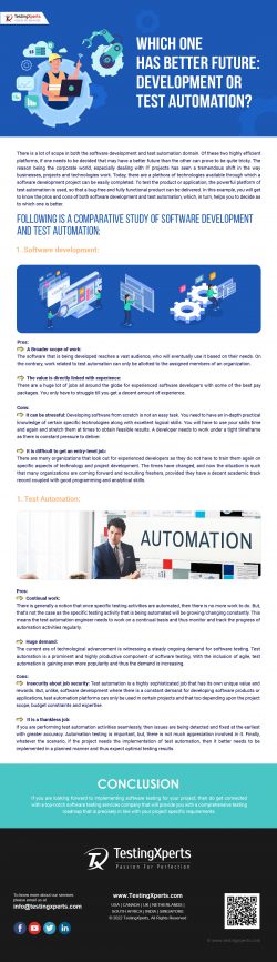 Which one has better future Developer or Test Automation?