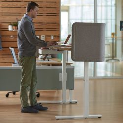 Adjustable Standing Desk Near Me