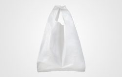 PLA Food Takeout Bags