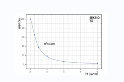 Triiodothyronine (T3)