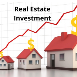 Real Estate Investment Business