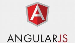 Hire Angularjs Developer