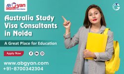 Options for Students After Their Studies in Australia