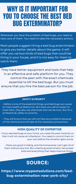 Benefits of Hiring Bed Bug Exterminator to Get Rid of the Irritating Pests