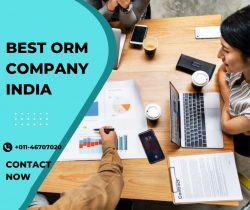 Best Online Reputation Management Company India