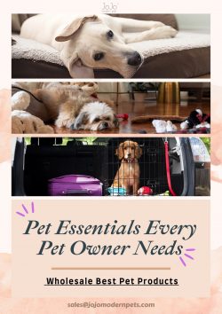 Best Wholesale Products – Pet Essentials Every Pet Owner Needs