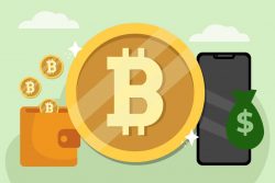 The Choices From The Cryptocurrency Transaction