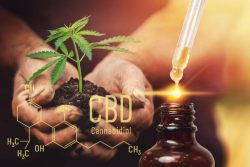 Best CBD Oil in Australia