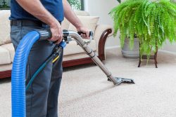 Steam cleaning carpet in Georgia