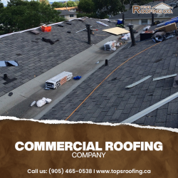 Best Commercial Roofing Company