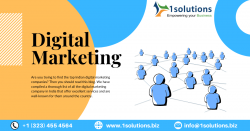 Best Digital Marketing Company India