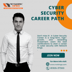 Best CYBER SECURITY CAREER PATH – NETWORK KINGS