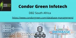 Introducing DB2 South Africa – Your Next Go-To Database