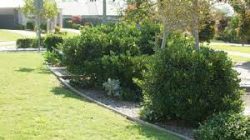 Lawn Mowing Whittlesea