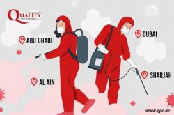 Dubai Municipality Pest Control