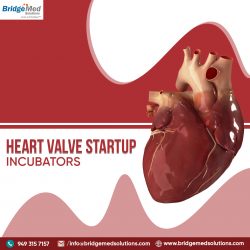 Heart Valve Startup Incubators