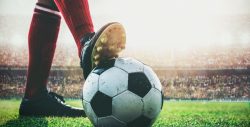Most Frequent Sports Bets – Useful Information For Newbies