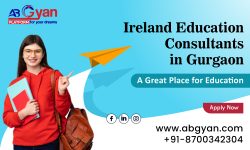 Studies in Ireland: An Overview