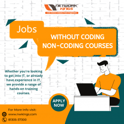 Best Non-Coding Courses