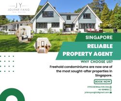 Find your New Launch Cluster House Singapore