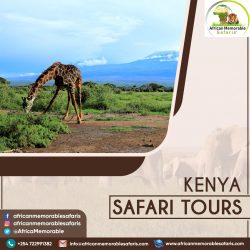 Kenya Safari Tours