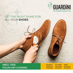 Best Shoe Washing Service