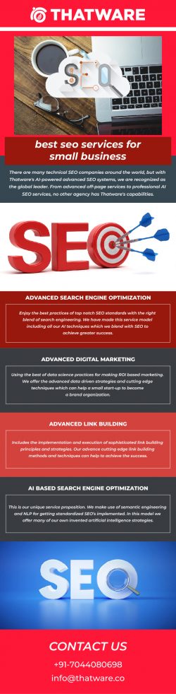 Opt for The Best SEO Services For Small Business – ThatWare