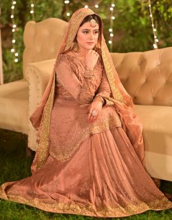 Pakistani Wedding Dresses