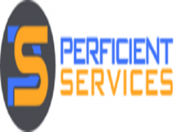 Perficient Services