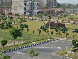 Aerocity Mohali Plot For Sale