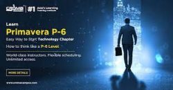 Primavera Online Course in Kuwait