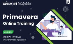 Primavera Online Certification in Dubai