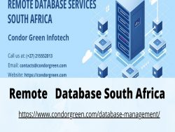 The Benefits of Remote Database Services in South Africa