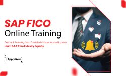 SAP FICO Training Institute in Delhi