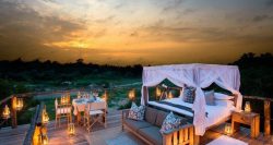 Botswana safari tours